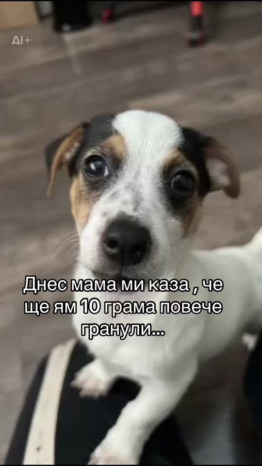 TikTok video thumbnail by mailo436