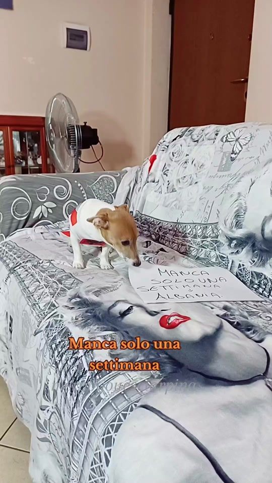 TikTok video thumbnail by merybijouesciarpina