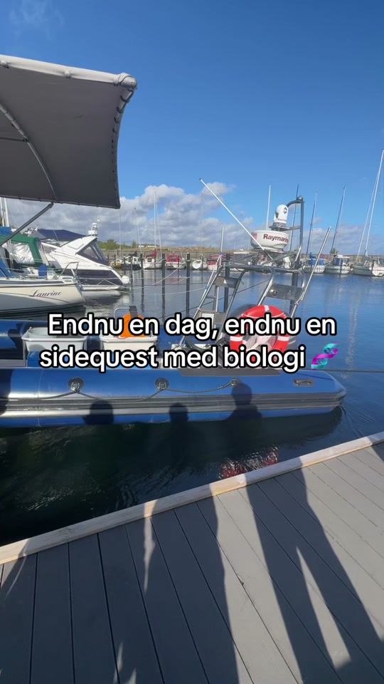 TikTok video thumbnail by taffelchips