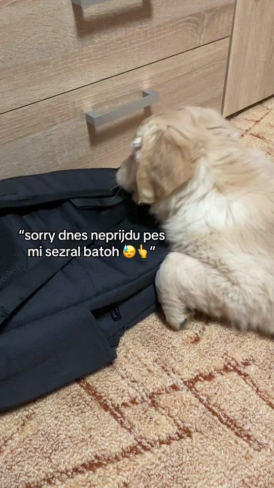 TikTok video thumbnail by wroxys