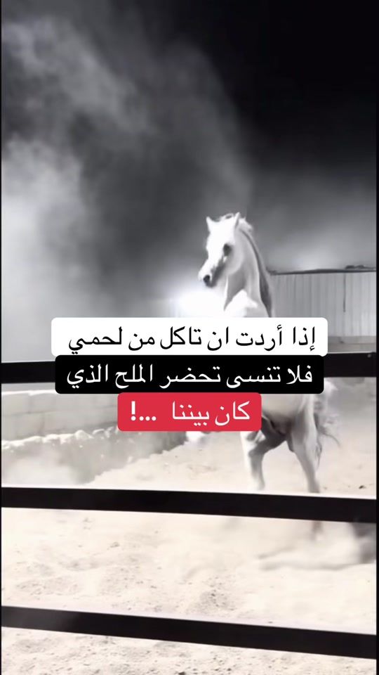 TikTok video thumbnail by nisrino444