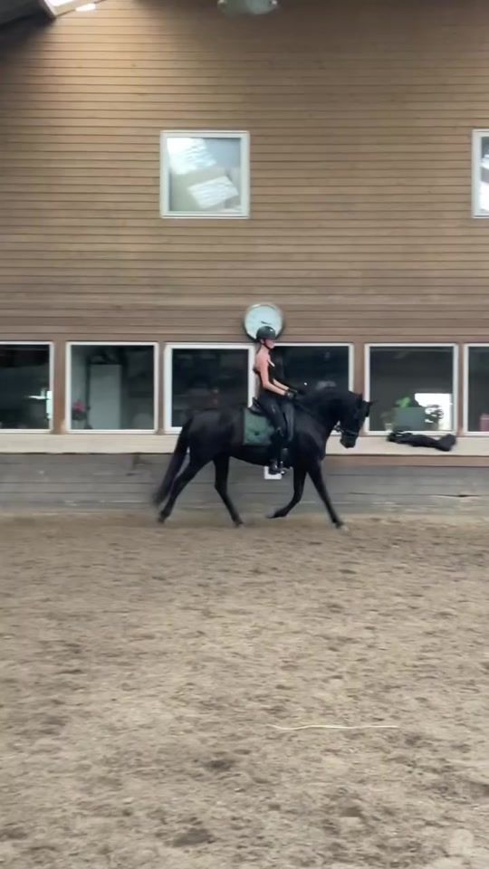 TikTok video thumbnail by s.q_equipe