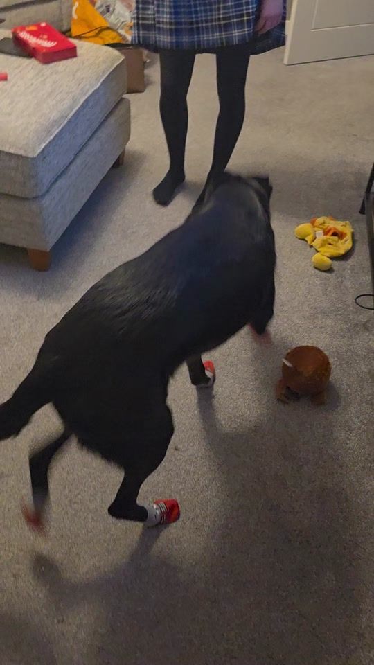 TikTok video thumbnail by littlebit_etchy