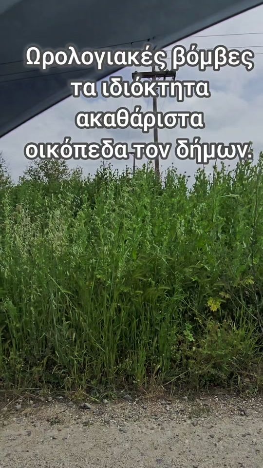 TikTok video thumbnail by o_megas