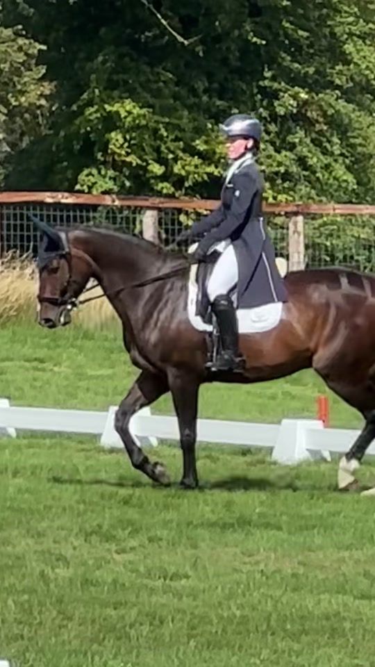 TikTok video thumbnail by beth_hobden_eventing