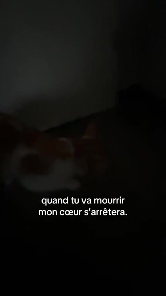 TikTok video thumbnail by introuvable_.900