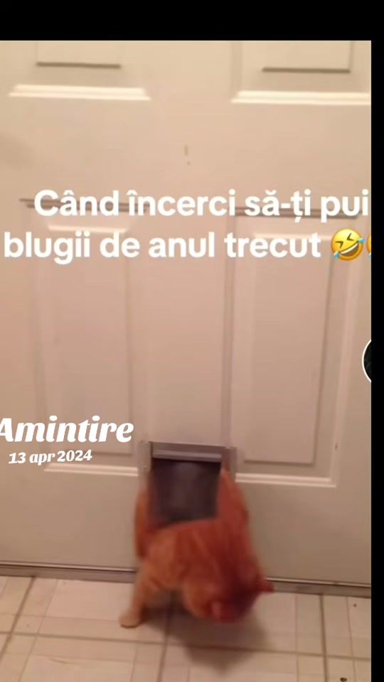 TikTok video thumbnail by gabriella03975
