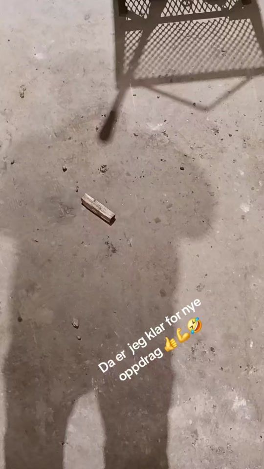 TikTok video thumbnail by roarp81rawr