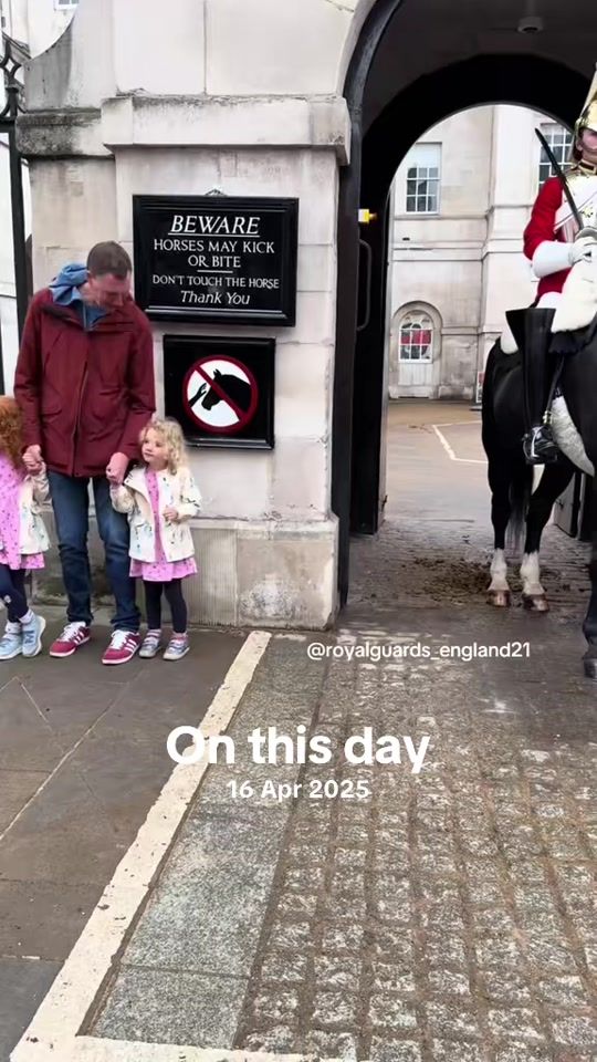TikTok video thumbnail by royalguards_england21