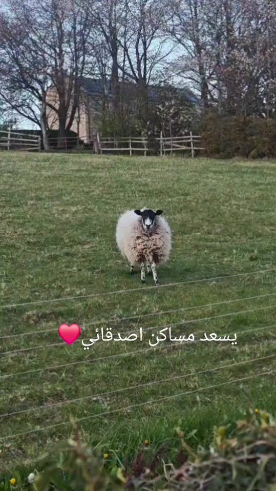 TikTok video thumbnail by monajarrouj