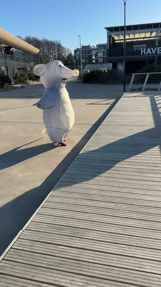 TikTok video thumbnail by rott.kott