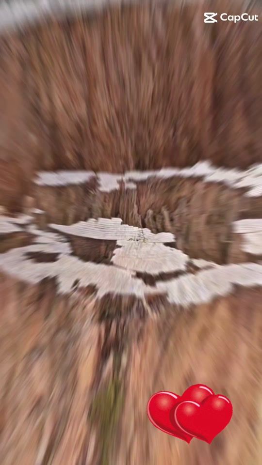 TikTok video thumbnail by geraldintruder