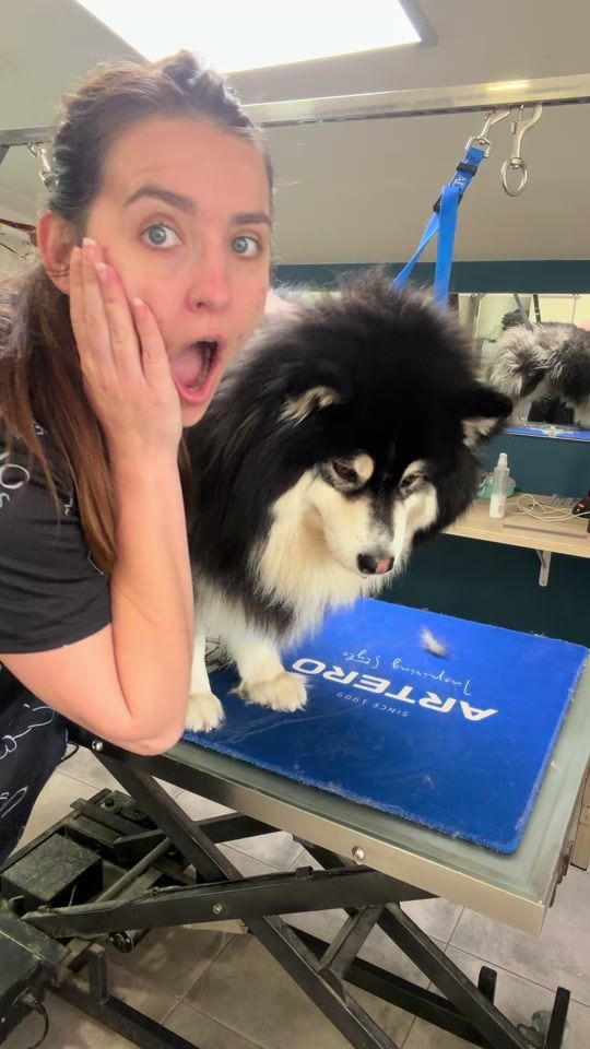 TikTok video thumbnail by le.salon.izzy
