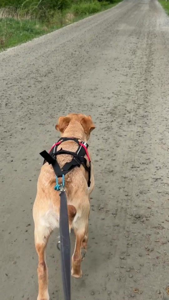 TikTok video thumbnail by npf_elba