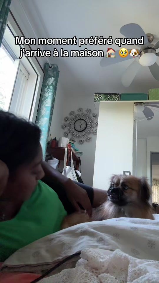 TikTok video thumbnail by niloutte_cdlr