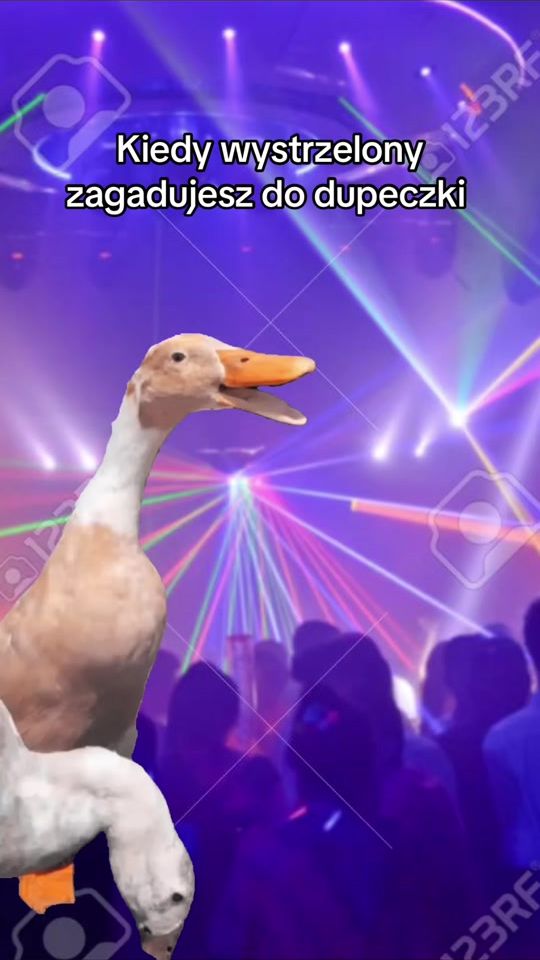 TikTok video thumbnail by antekmood