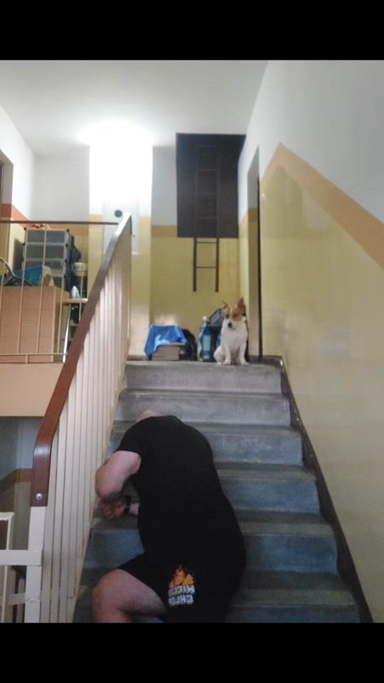 TikTok video thumbnail by skrzypasskrzypas