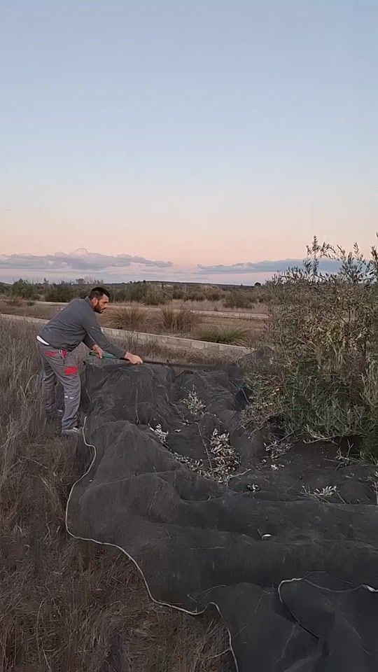 TikTok video thumbnail by edugarciasanche89