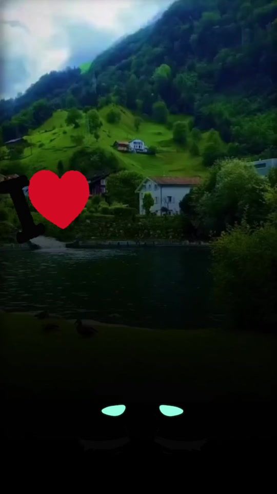 TikTok video thumbnail by myrules6119