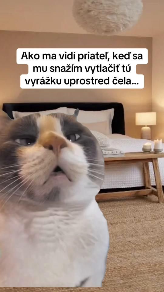 TikTok video thumbnail by meme_zona1