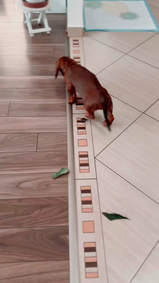 TikTok video thumbnail by hajnalka080