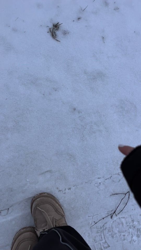 TikTok video thumbnail by surxea