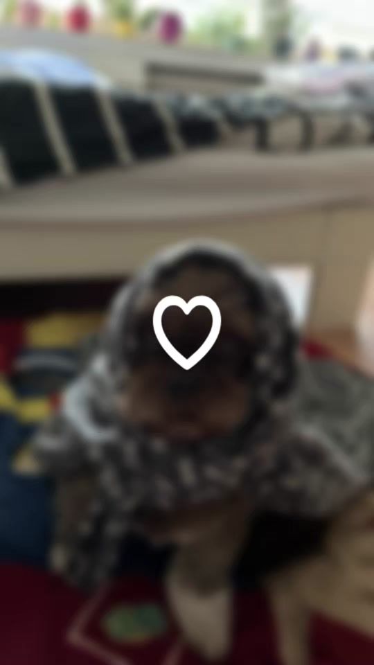TikTok video thumbnail by joel_aus_herne