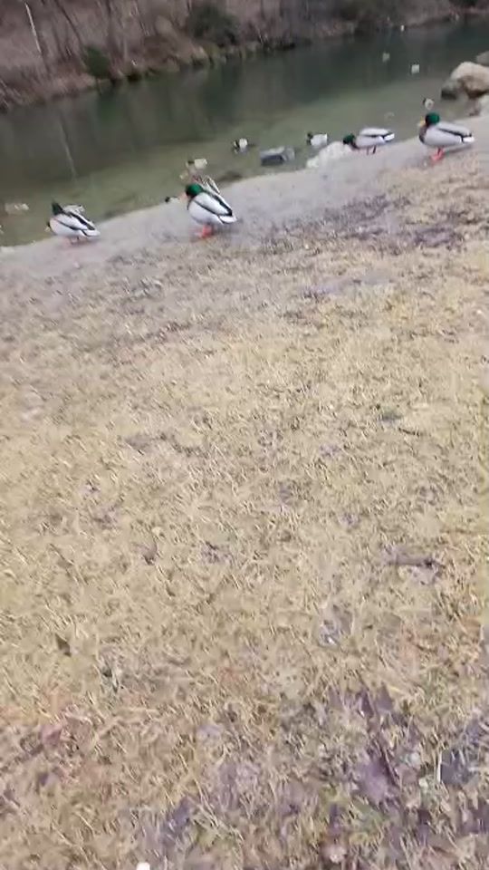 TikTok video thumbnail by sommer.037
