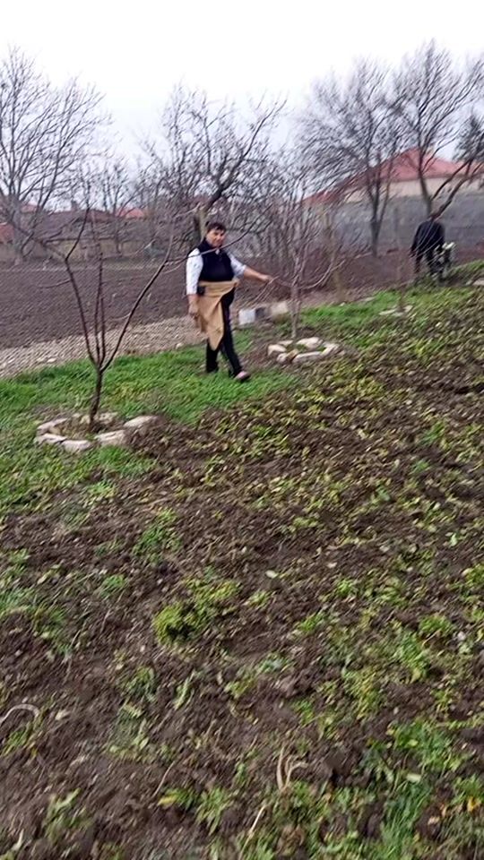 TikTok video thumbnail by dimitarpetrov478