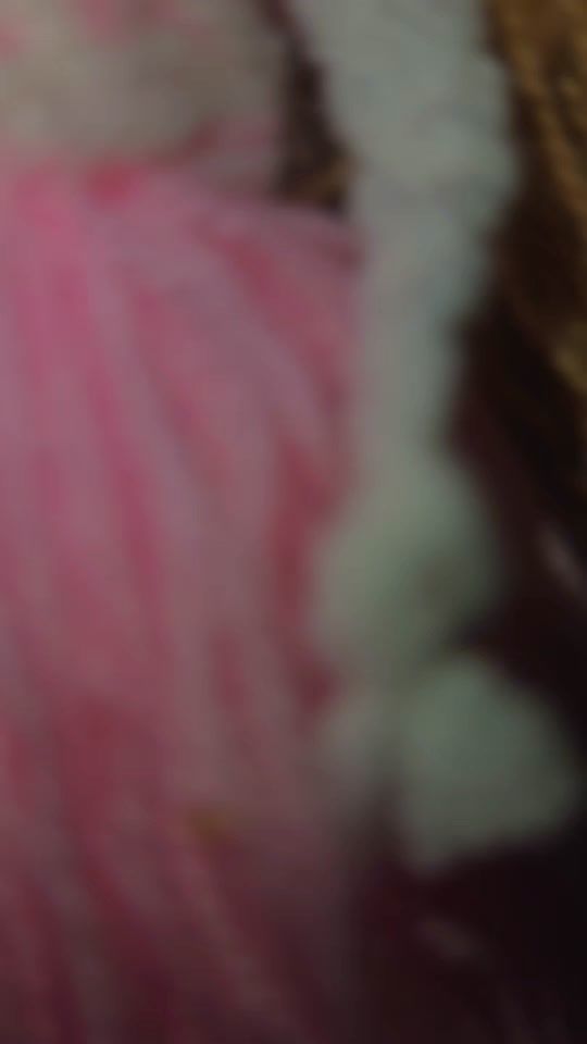 TikTok video thumbnail by szabinakitty