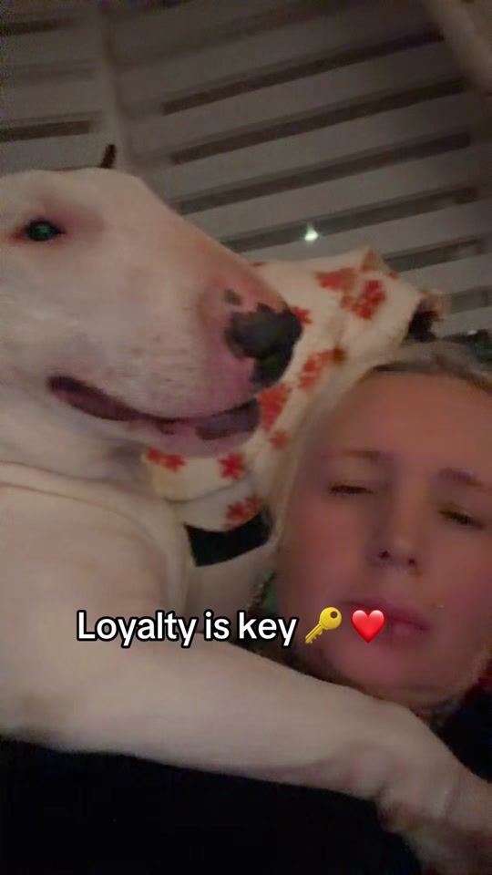 TikTok video thumbnail by julz_tiffany_scotland