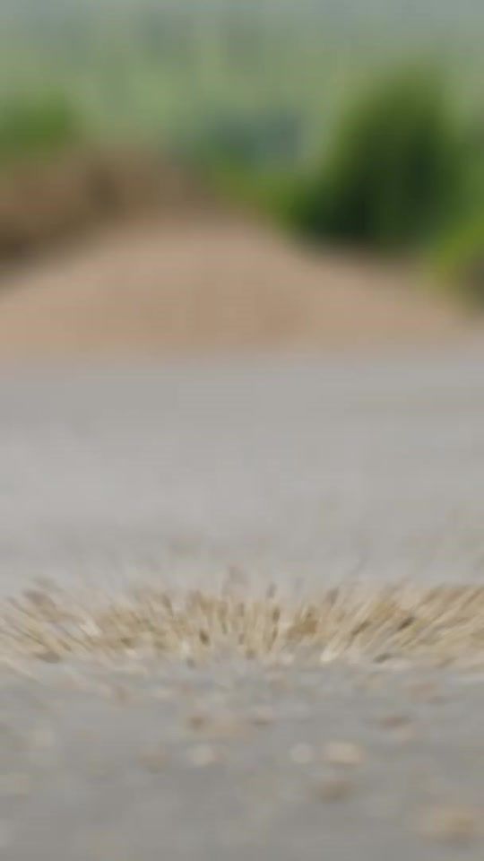 TikTok video thumbnail by farmingmonthly