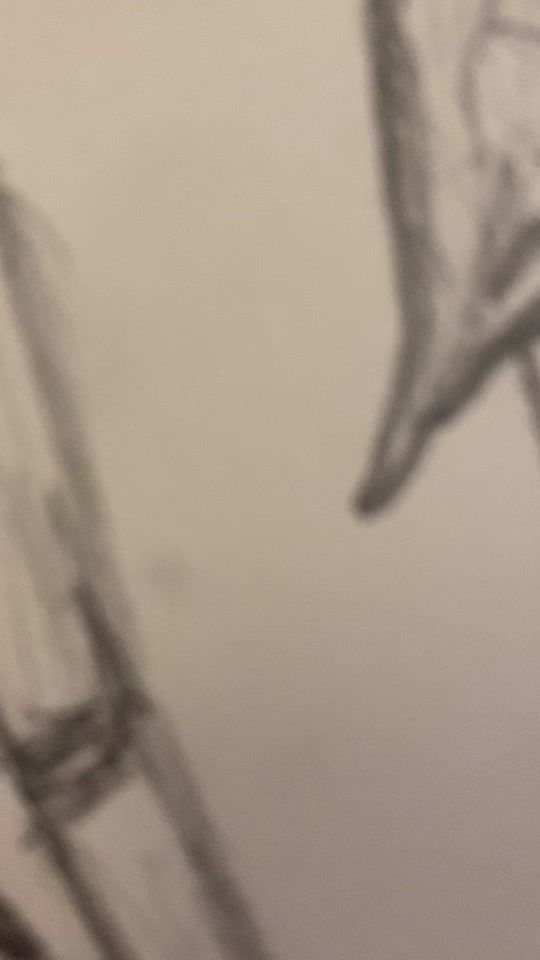 TikTok video thumbnail by mariatrustrup