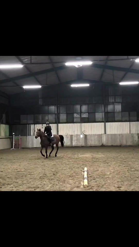 TikTok video thumbnail by _mimi_equestrian_