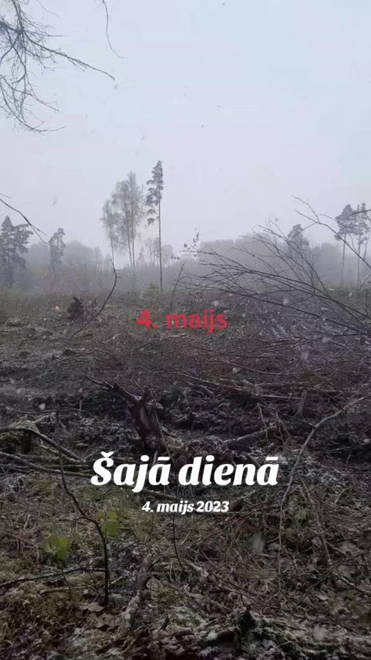 TikTok video thumbnail by tas.pats.osis