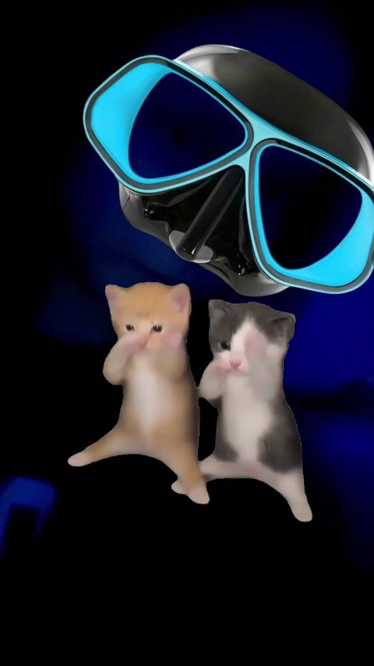 TikTok video thumbnail by karin.roskar