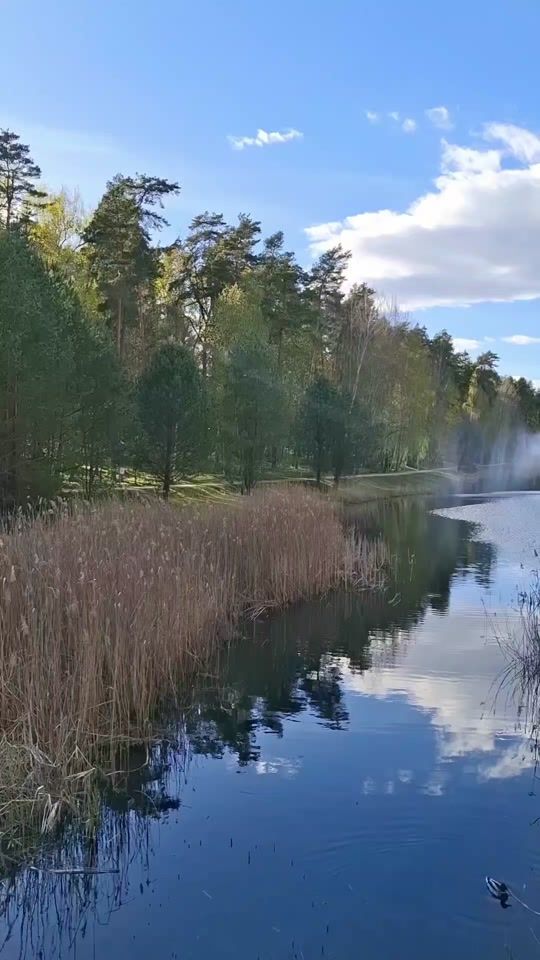 TikTok video thumbnail by alinka93_