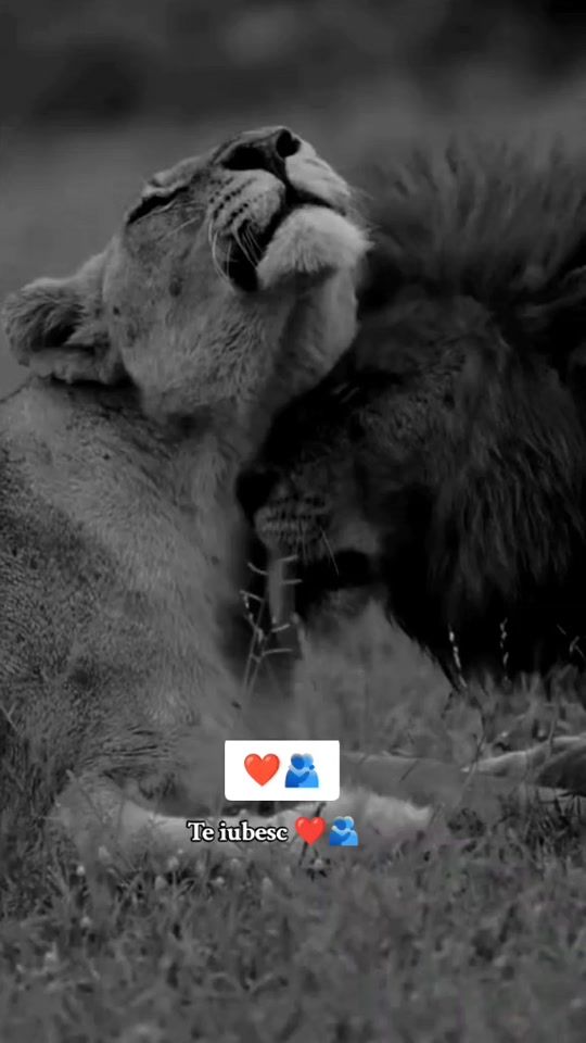 TikTok video thumbnail by alyn.22.11