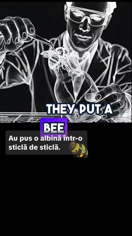 TikTok video thumbnail by g.o.d6.9