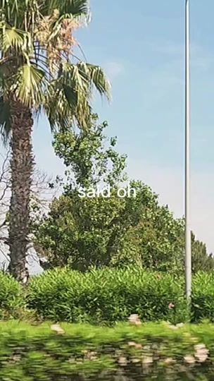 TikTok video thumbnail by lesyeuxdejunia