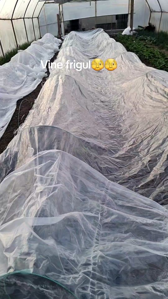 TikTok video thumbnail by denysahepes
