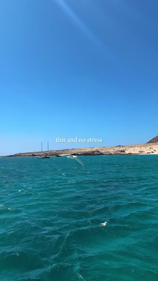 TikTok video thumbnail by laurareid95x