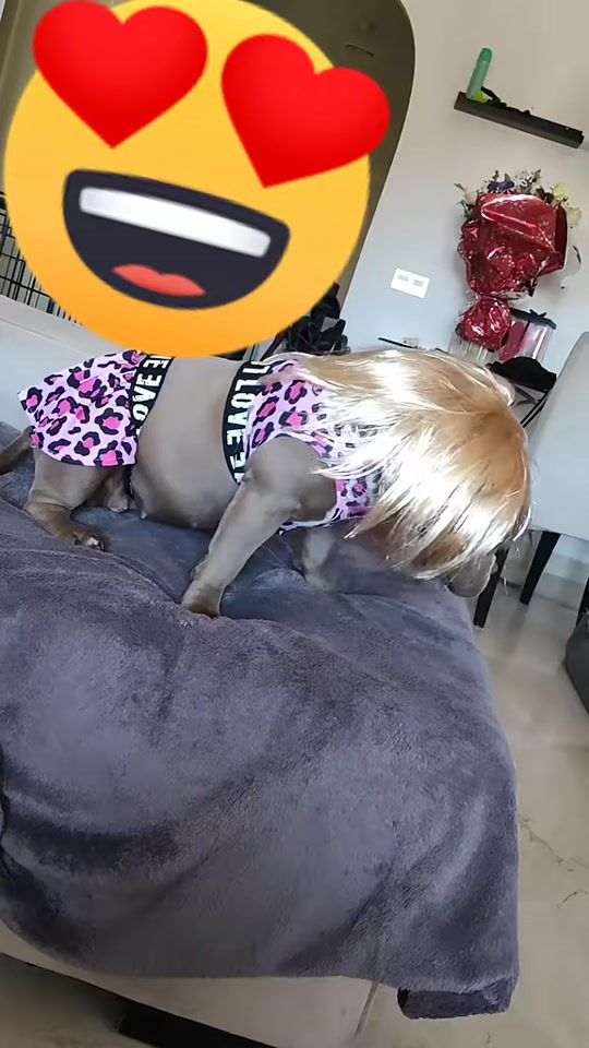 TikTok video thumbnail by katygm.bully