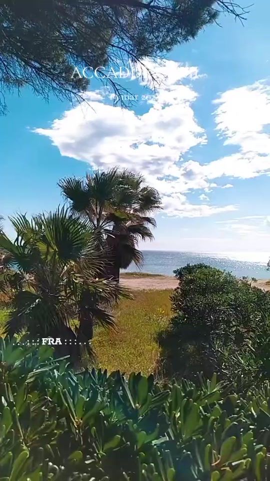 TikTok video thumbnail by francesc.om.uzzi
