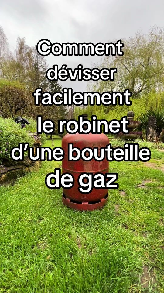 TikTok video thumbnail by lucfalkorichard