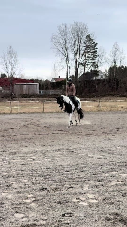 TikTok video thumbnail by kaja.eventing