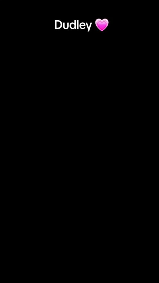 TikTok video thumbnail by cavapooragdollbsh