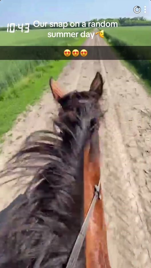 TikTok video thumbnail by luca_forgo