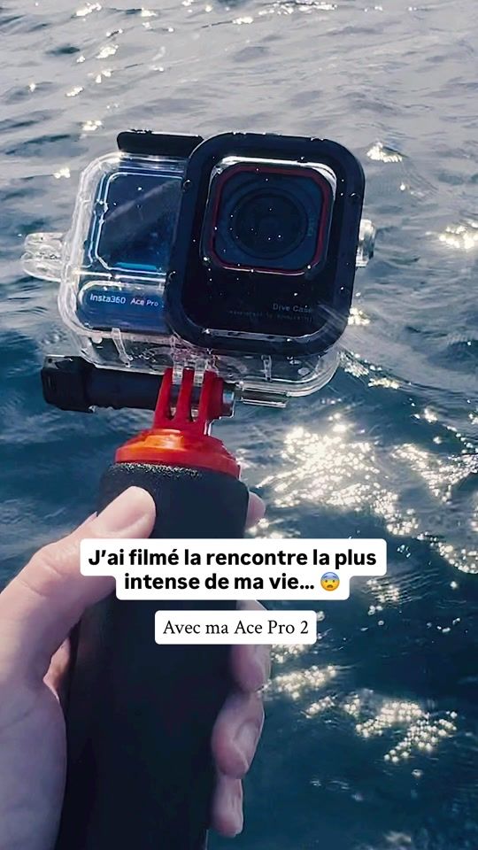 TikTok video thumbnail by hugohebbe