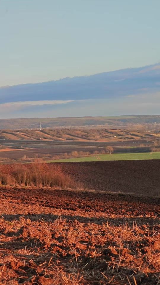 TikTok video thumbnail by petipozbai